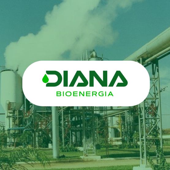 (c) Academiadianabioenergia.com.br